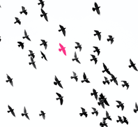 Strona portalu randkowego w Polsce