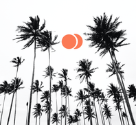 Strona portalu randkowego w Polsce