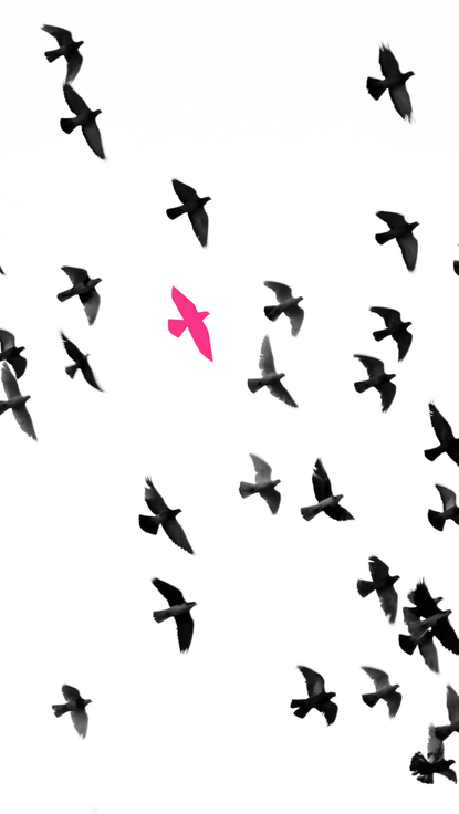 Strona portalu randkowego w Polsce