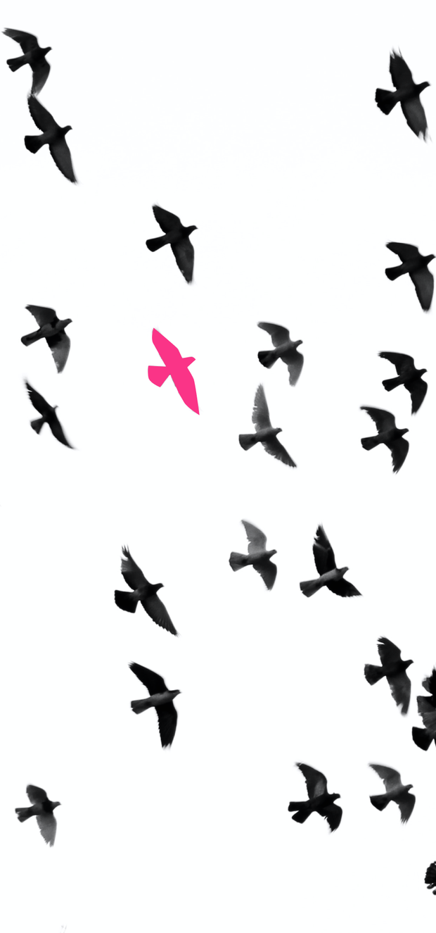 Strona portalu randkowego w Polsce