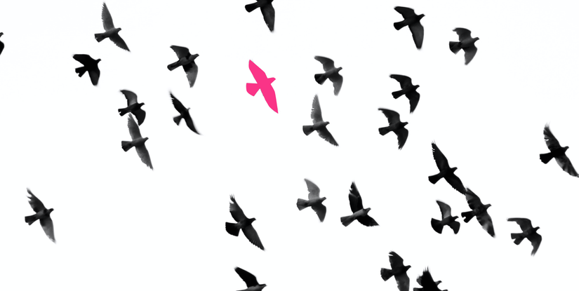 Strona portalu randkowego w Polsce